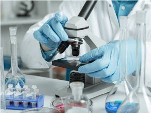 Como a Biópsia por Endoscopia Revoluciona o Diagnóstico Médico!