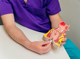 proctologia