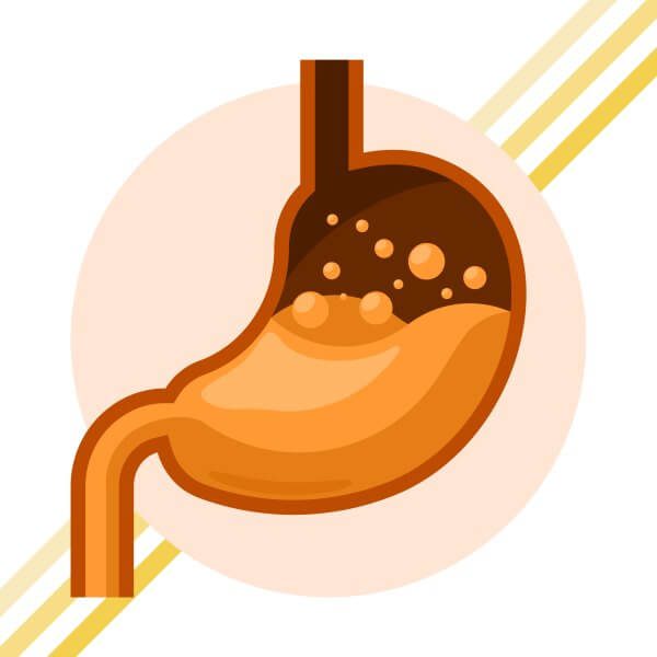 Preparo da Colonoscopia: O Que Comer e Cardápio Sem Erros